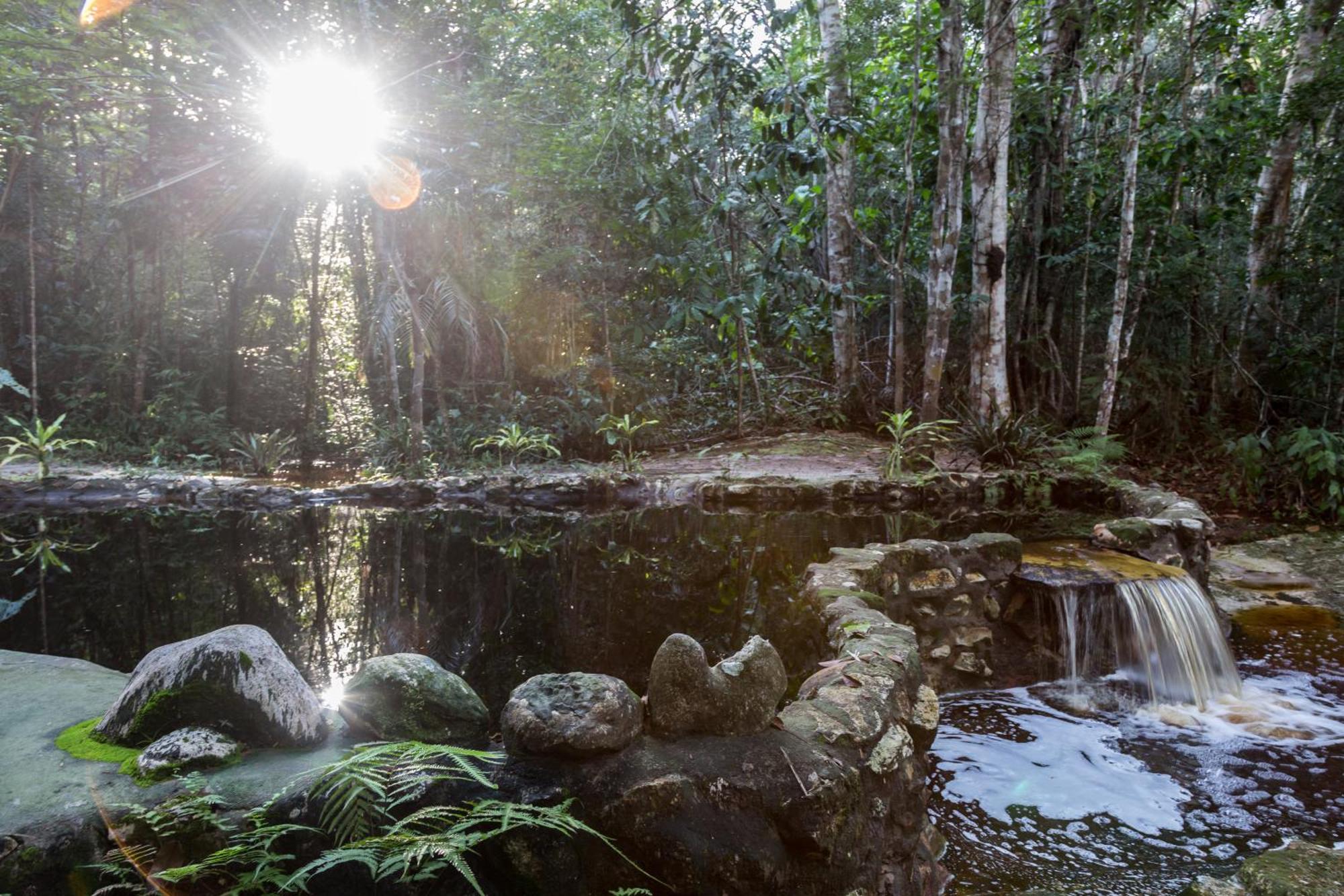 Amazon Ecopark Jungle Lodge ماناوس المظهر الخارجي الصورة
