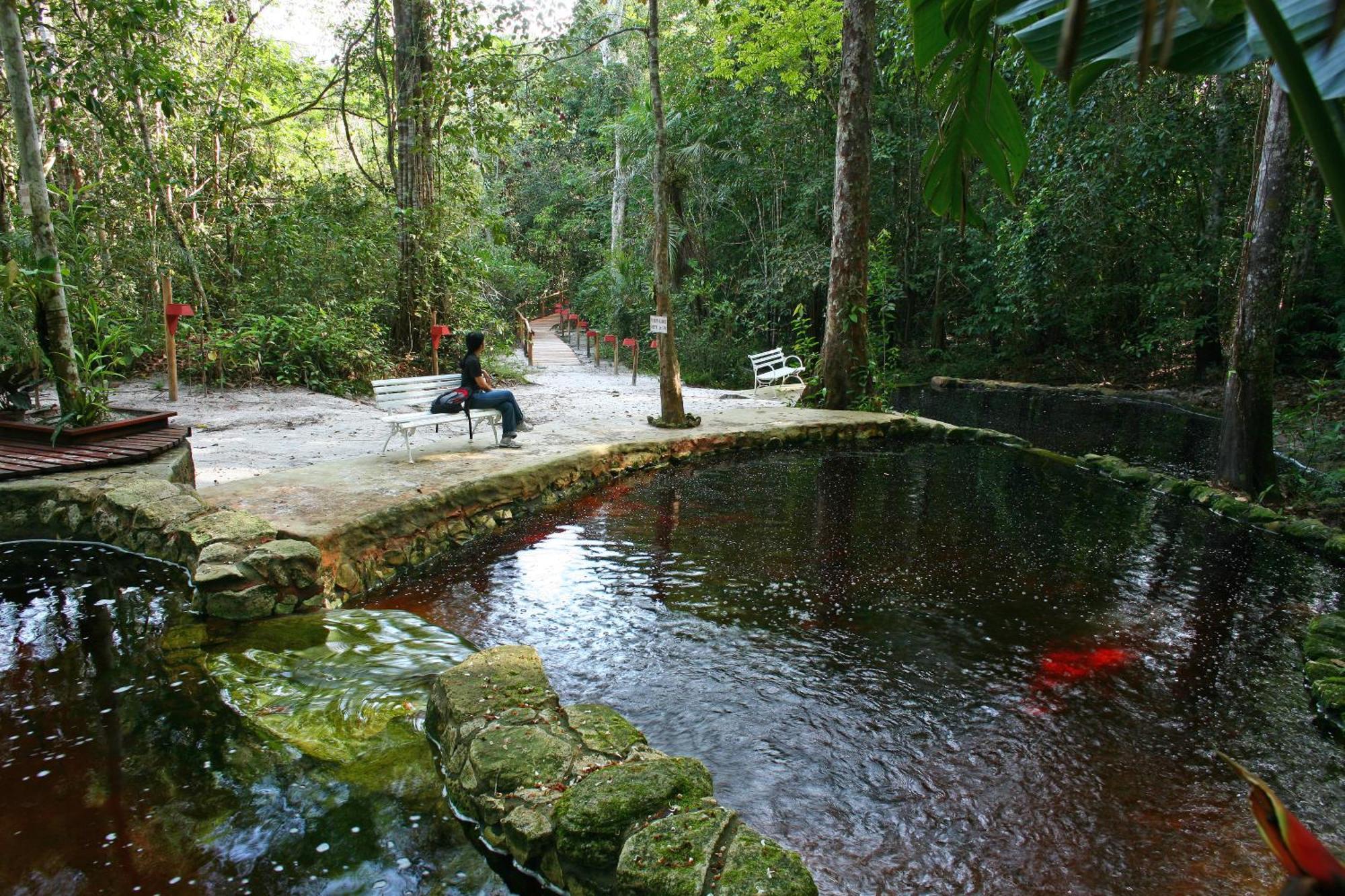 Amazon Ecopark Jungle Lodge ماناوس المظهر الخارجي الصورة