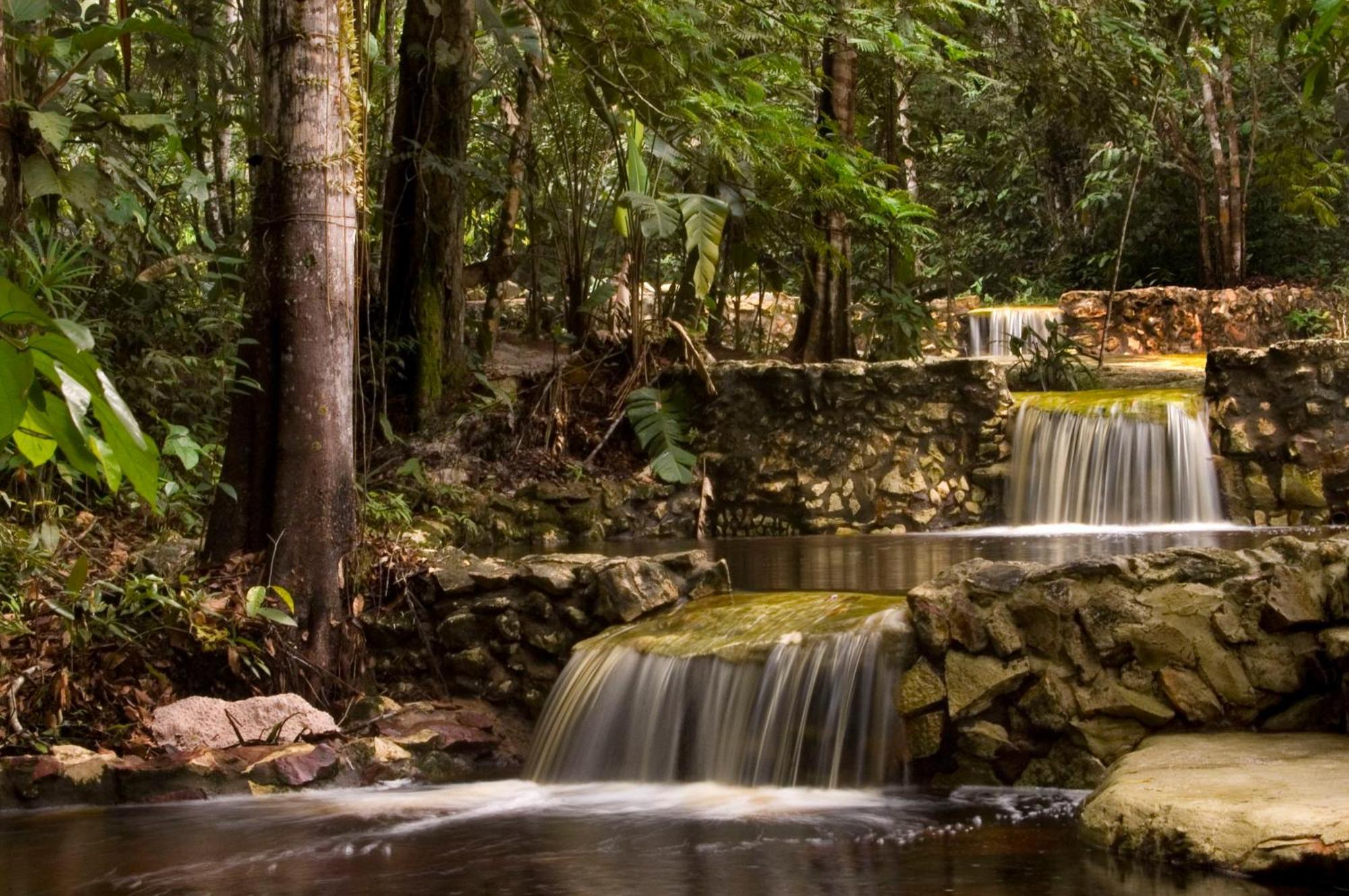 Amazon Ecopark Jungle Lodge ماناوس المظهر الخارجي الصورة