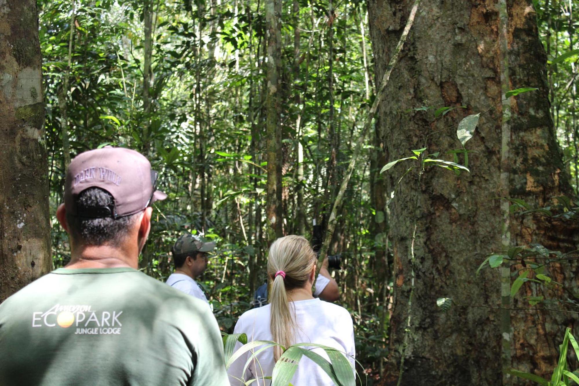 Amazon Ecopark Jungle Lodge ماناوس المظهر الخارجي الصورة