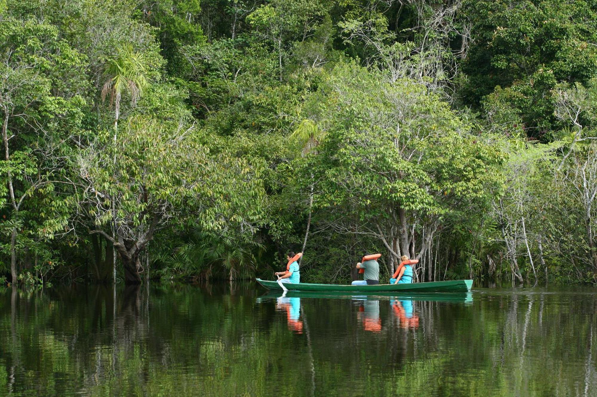 Amazon Ecopark Jungle Lodge ماناوس المظهر الخارجي الصورة
