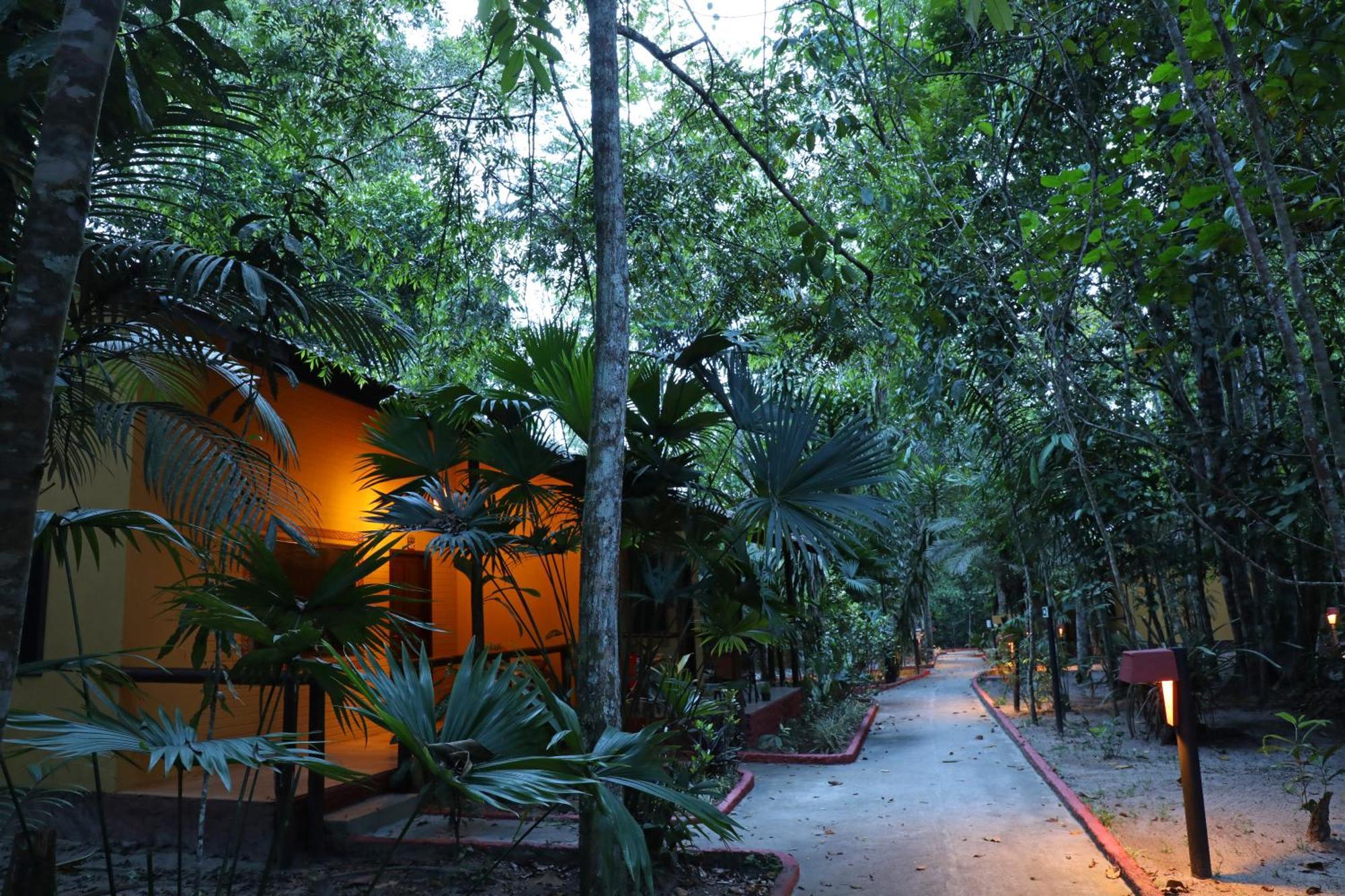 Amazon Ecopark Jungle Lodge ماناوس المظهر الخارجي الصورة
