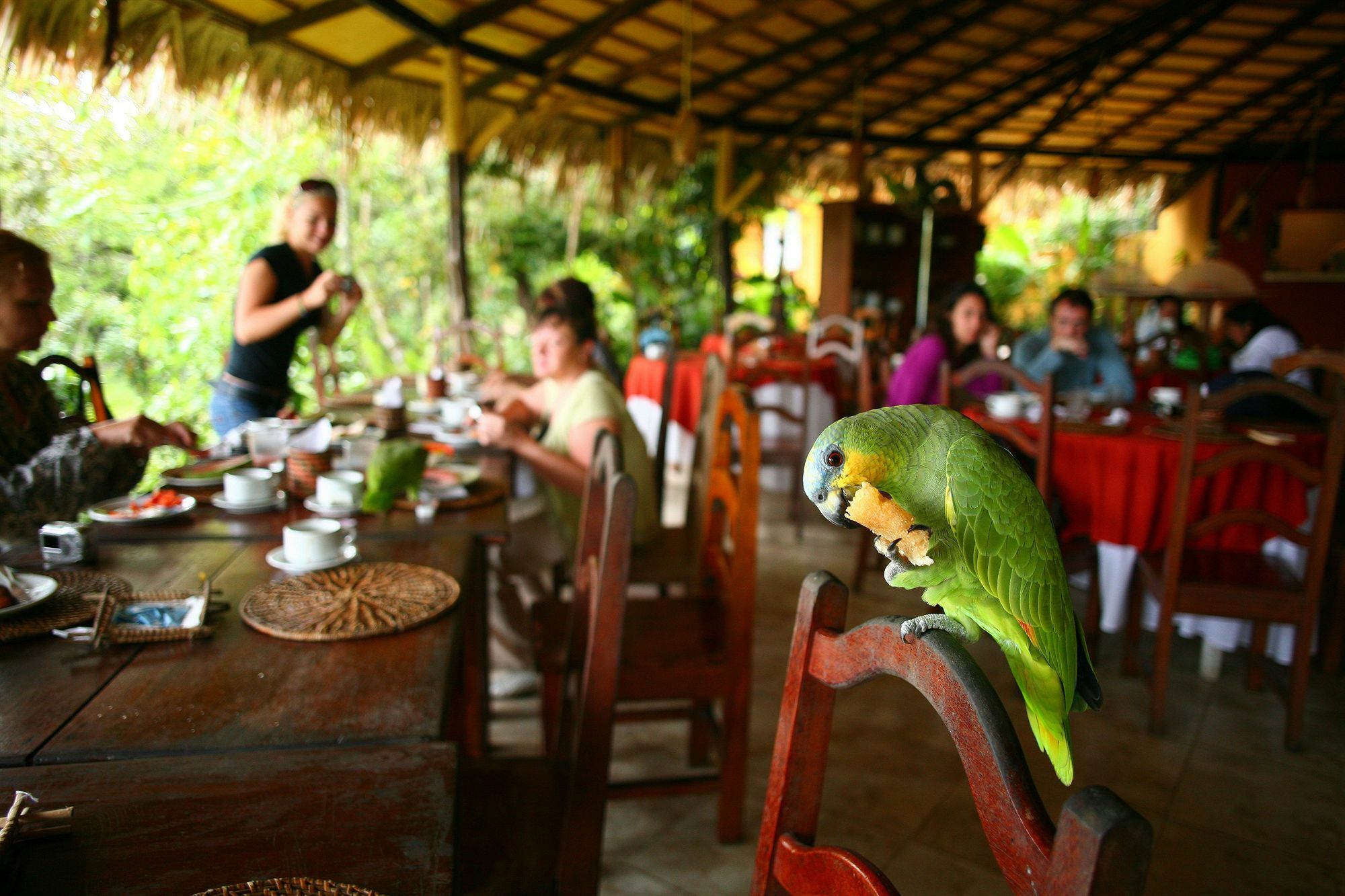 Amazon Ecopark Jungle Lodge ماناوس المظهر الخارجي الصورة